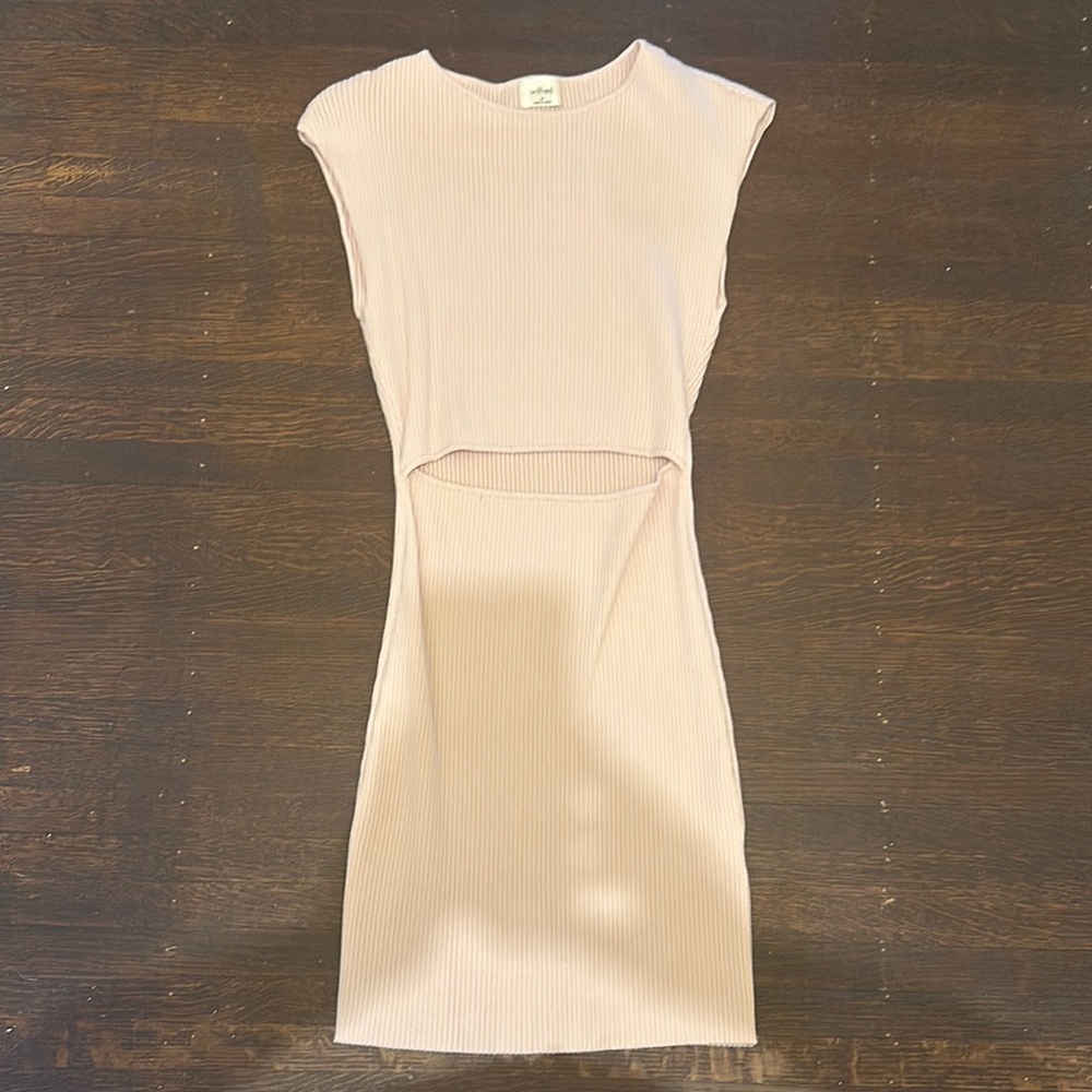 Aritzia Pink Dress with Cut Out